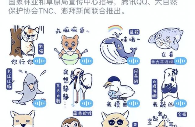 聆听地球之声,腾讯QQ联合TNC、澎湃新闻创新青少年动物科普