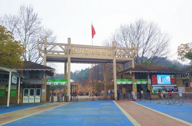 少年得到驰援红山动物园,三千多名小学员报名捐出学习时长