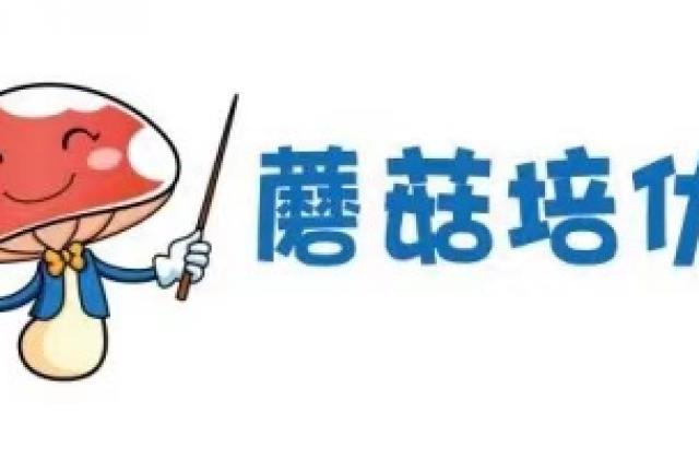 专注高端数学教育,蘑菇培优开设“四校班”