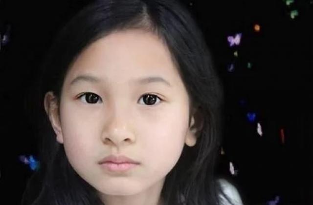 一场无法避免的世界级论战:钢琴之花zny 批判vs跨学科 两大教育思维短兵相接