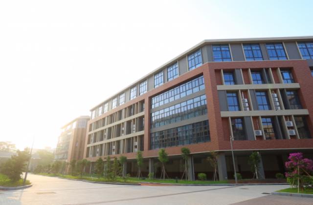 为什么家长们选择了东华文泽学校?