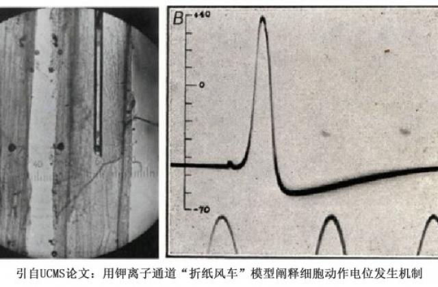 学者孙作东质疑美国生物学教科书 中国高中《生物》教材也存在问题