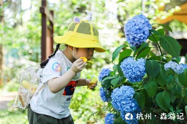 大力智能开启森林研学之旅，探索披风少年的成长密码