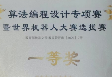 14岁双胞胎兄弟:编程带来的“架构感”是最有趣的