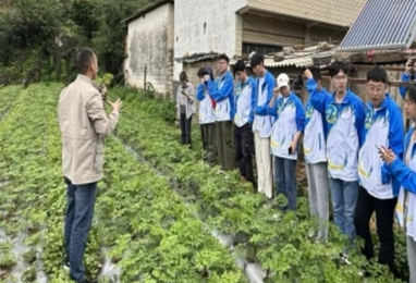 从云南省昆明市禄劝县马鹿塘乡当归产业看高原特色中药材产业振兴